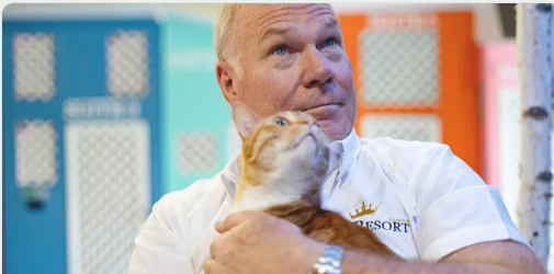 Consulenti della relazione felina Cat Care