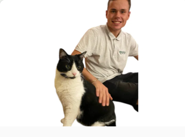 Cat Dream struttura Cat Care