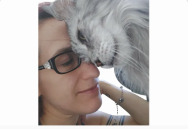 Amici Village struttura Cat Care