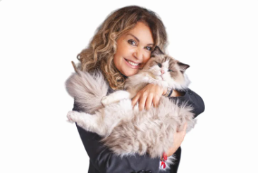 Micio Miao Resort struttura Cat Care