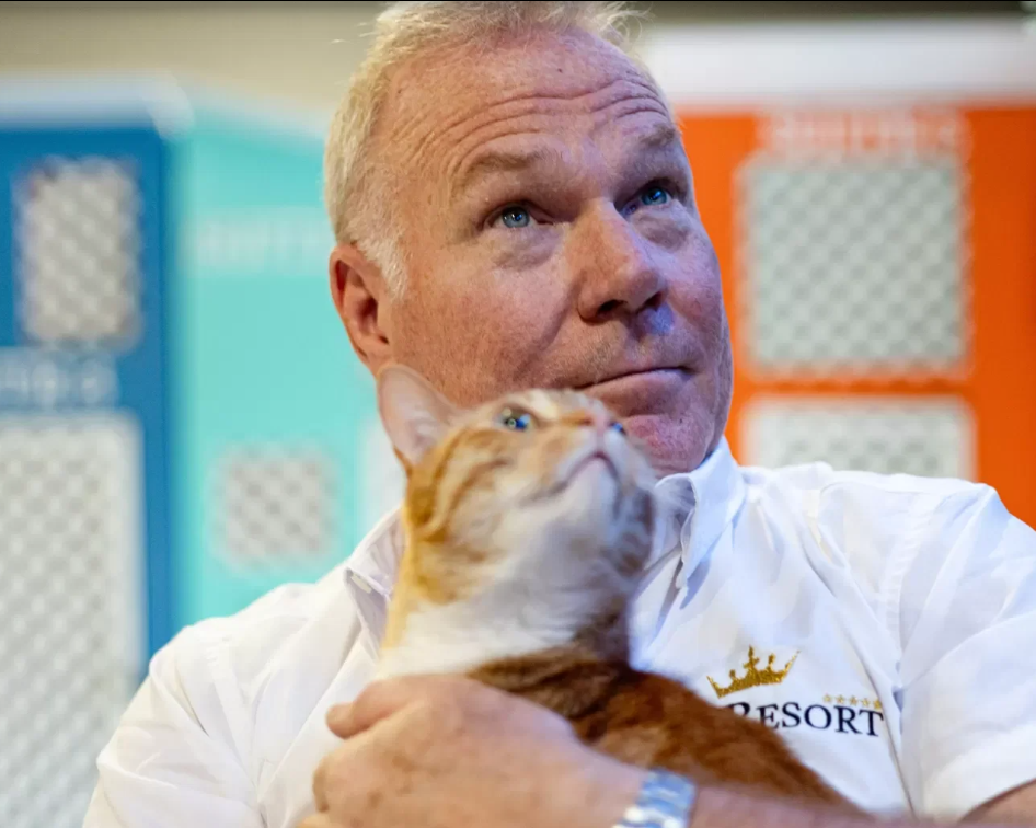 Consulenti della relazione felina Cat Care