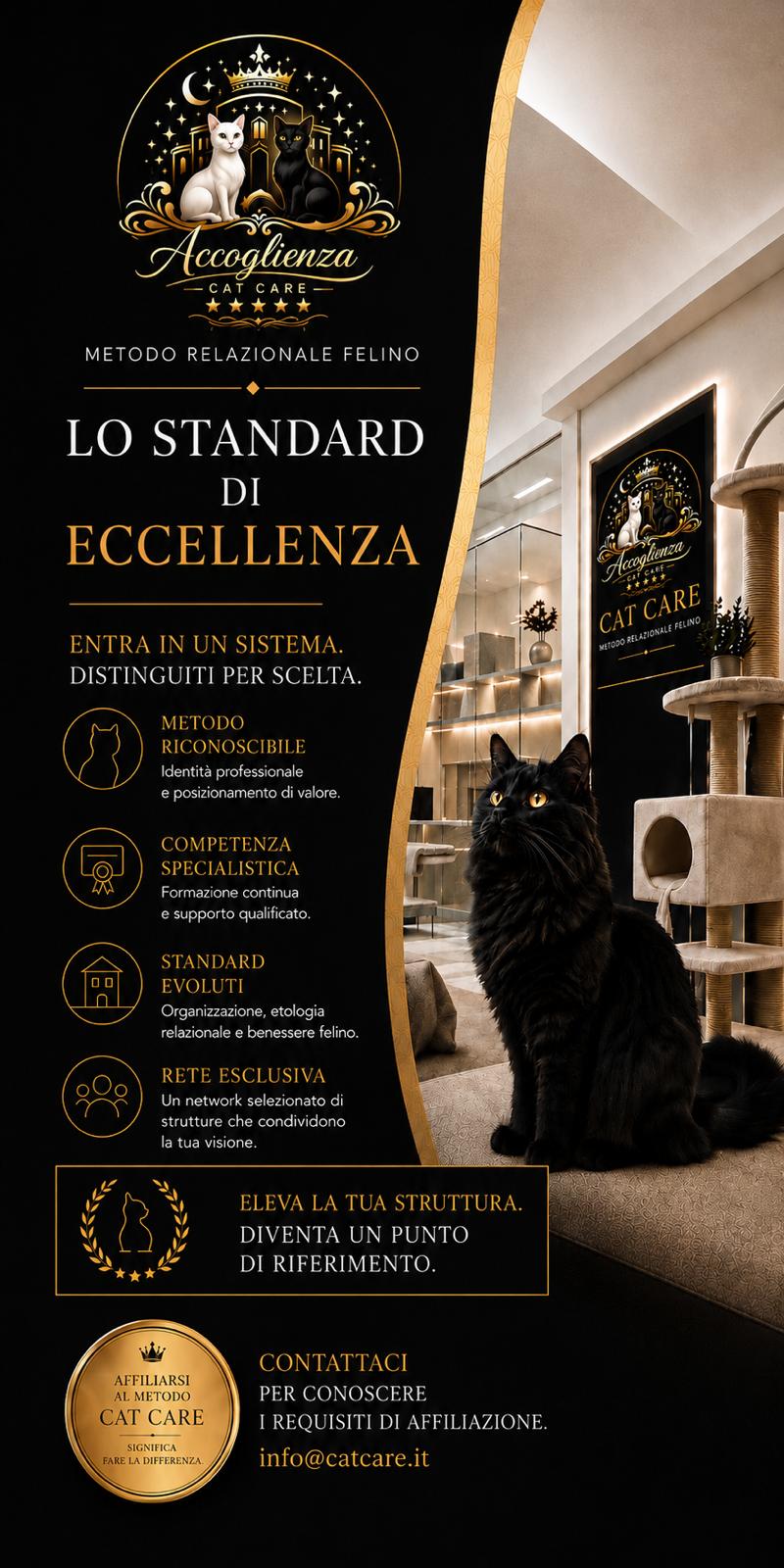 Affiliazione Cat Care per strutture dedicate ai gatti